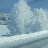 №31, Анжеліка Несен, 27 лет №31, Анжеліка Несен, 27 лет