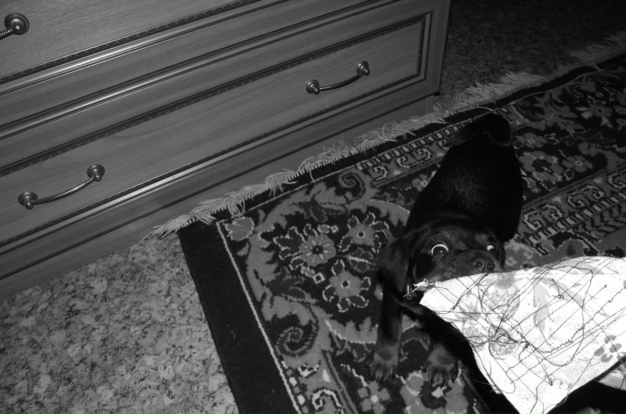 Валерия Дымочко | Москва