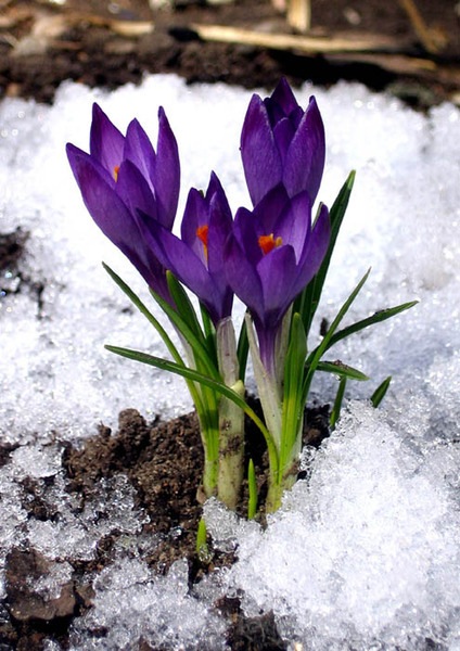 №21, Оксана Тимофеева, 47 лет, Казань №21, Оксана Тимофеева, 47 лет, Казань