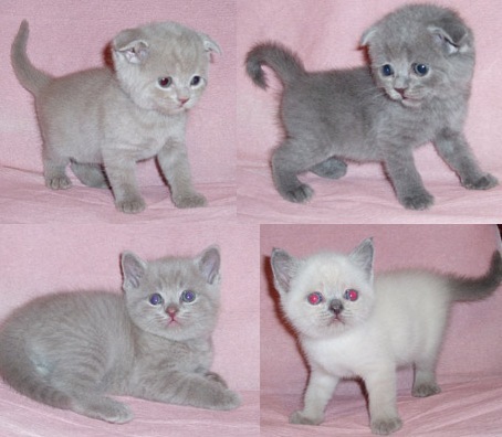 №10, Наталья Ашихмина, Ижевск №10, Наталья Ашихмина, Ижевск