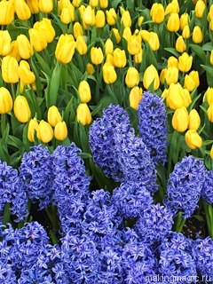 Мария Данилова | Кропивницкий / Кировоград