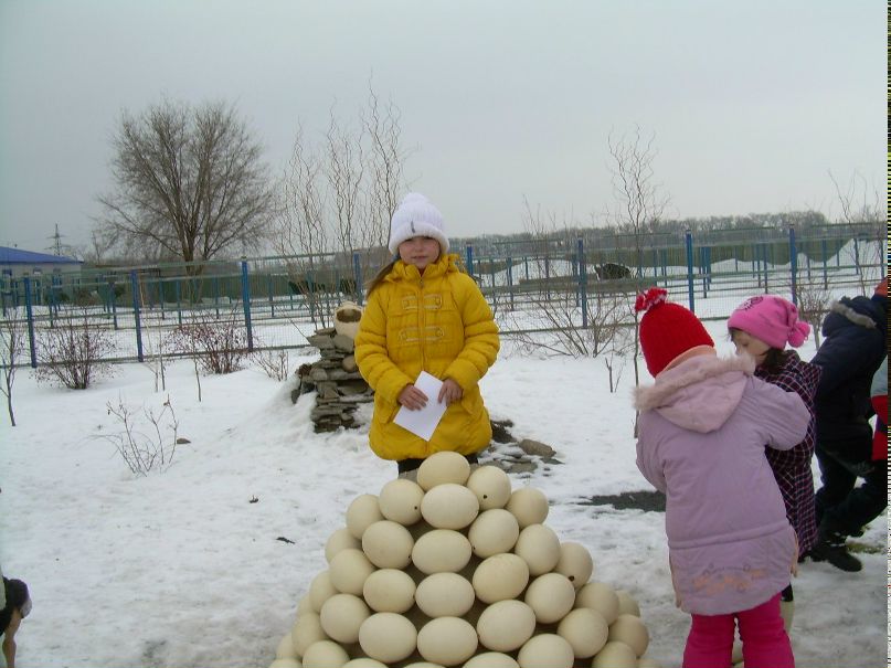 Елена Трегубова | Ростов-на-Дону