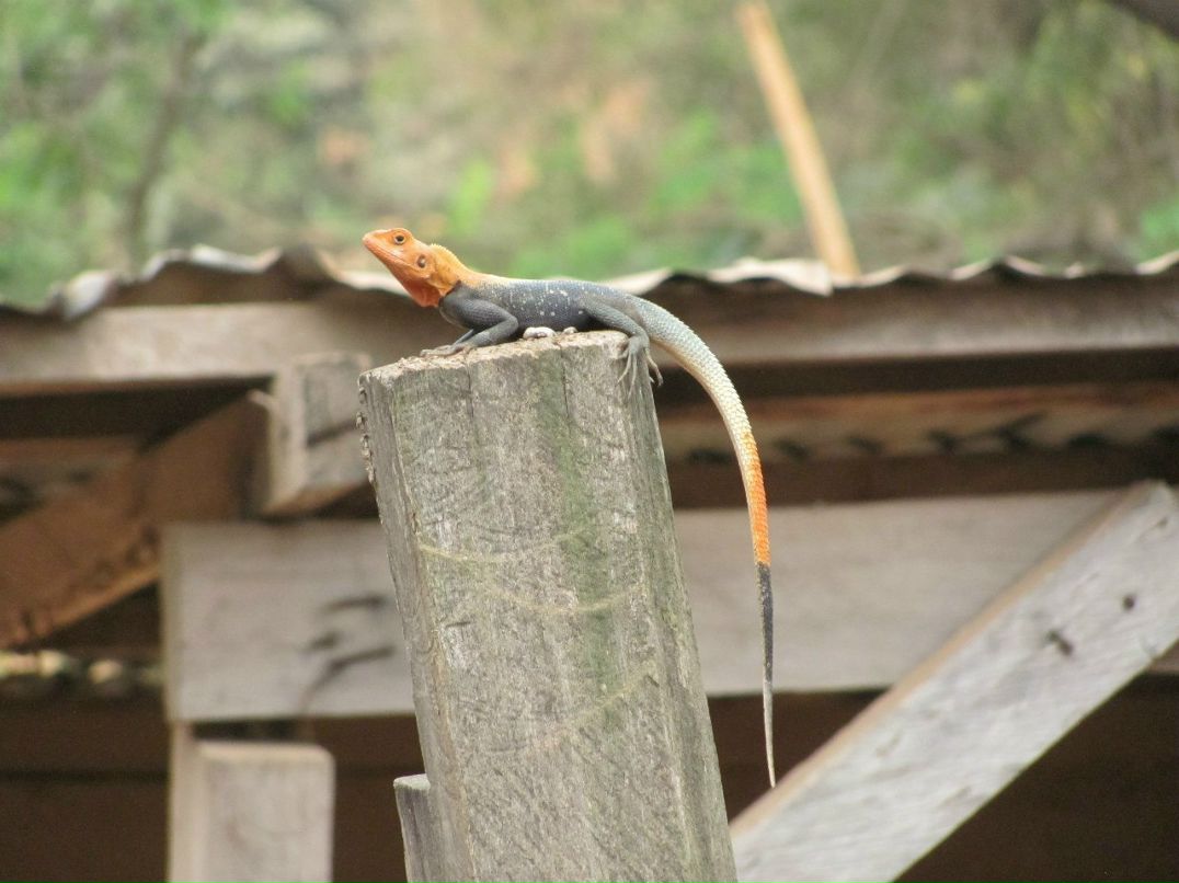 Евгений Сальников | Санкт-Петербург