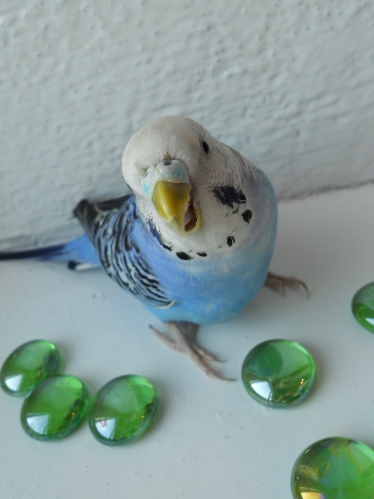 Екатерина Исрафилова | Екатеринбург