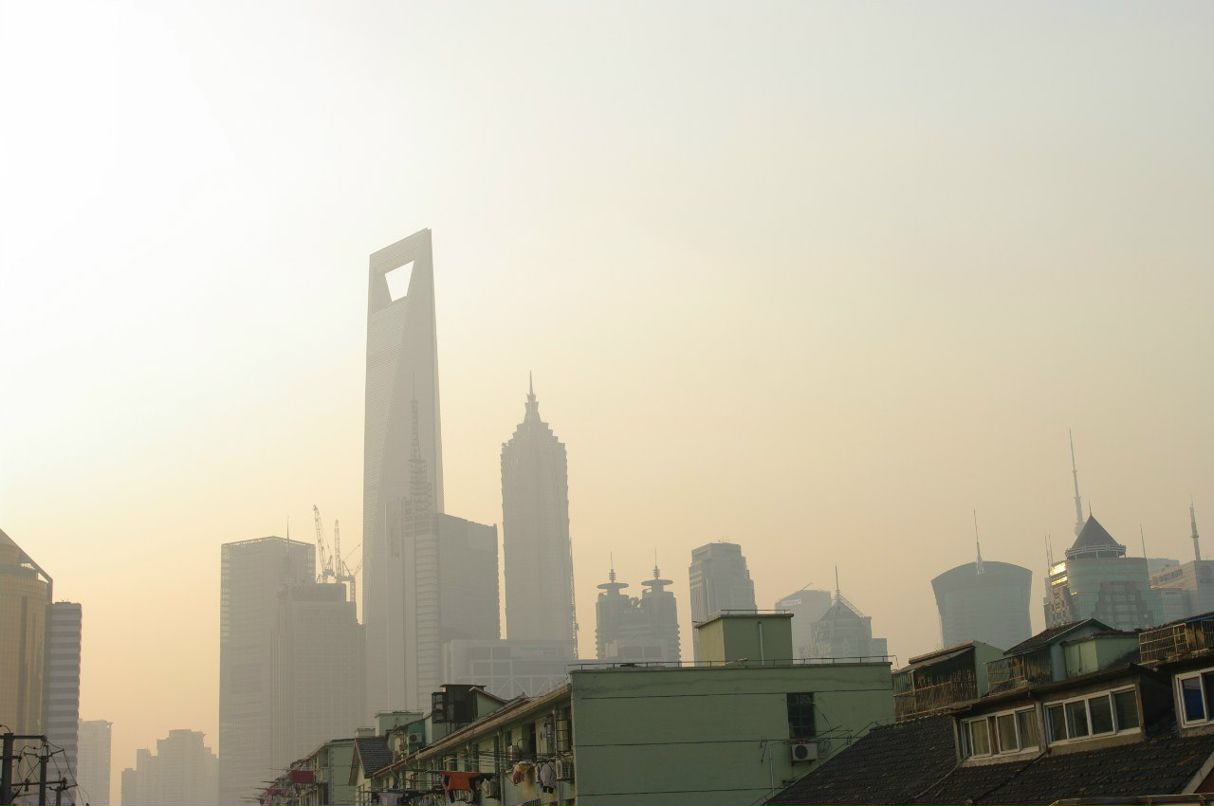 Анастасия Чечина | Санкт-Петербург