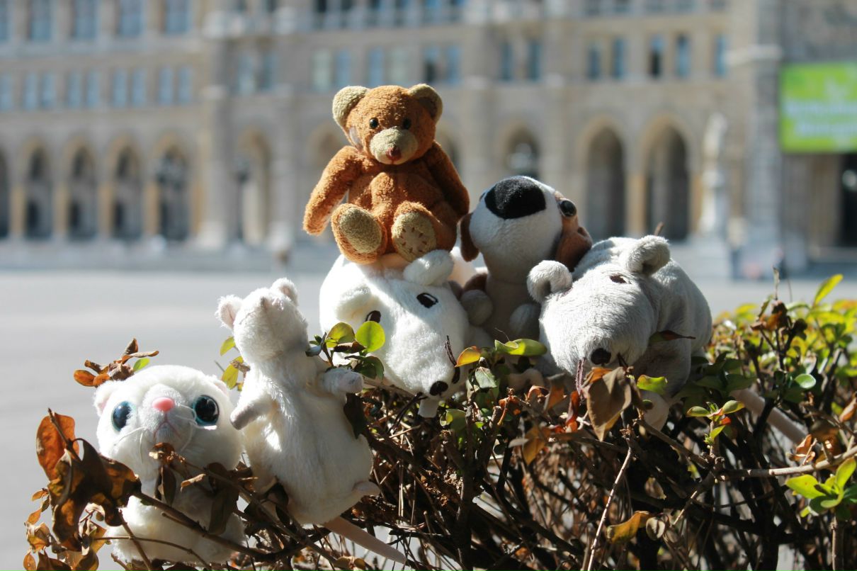 Софья Барсукова | Москва