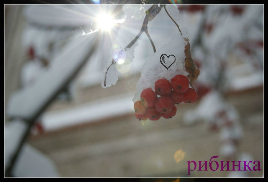 №33, Вита Истомина, 29 лет, Железногорск №33, Вита Истомина, 29 лет, Железногорск