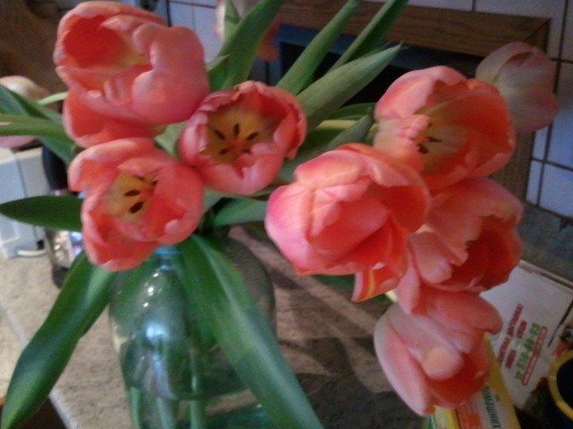 №30, Dari Linkova, 39 лет, Москва №30, Dari Linkova, 39 лет, Москва