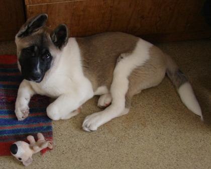 Светлана Добрынина | Иркутск