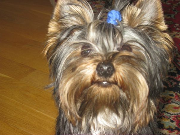 №57, Катя Голубович, 28 лет, Львов №57, Катя Голубович, 28 лет, Львов