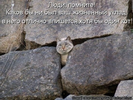 Андрей Андреев *B* | Санкт-Петербург