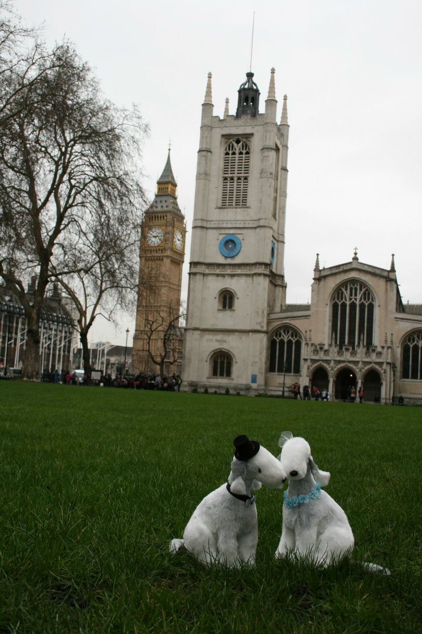 Владимир Пронкин | Москва