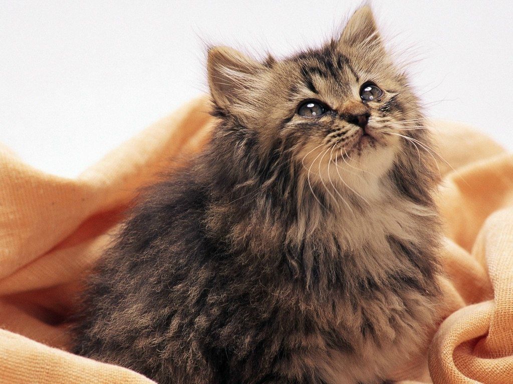 Юленька Солдатенко | Киев