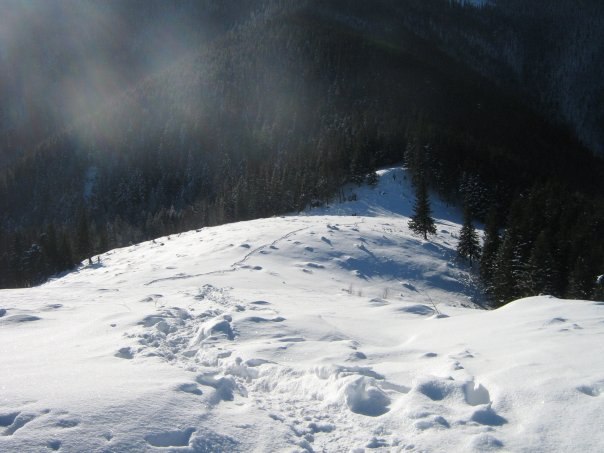 Наталія Тацишин-Войчишин | Ивано-Франковск