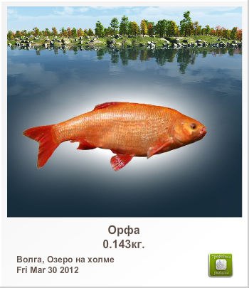 Сергей Лисин | Киев