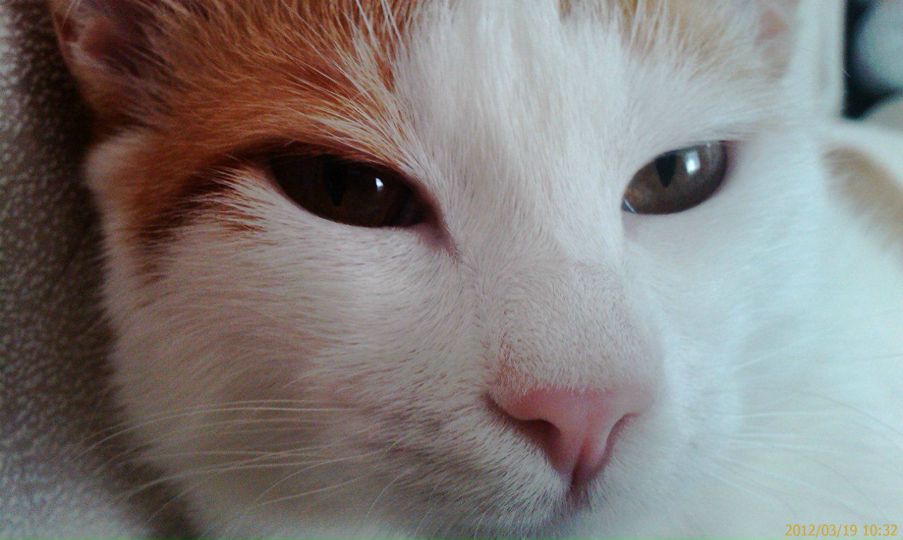 Виктор Флинт | Краснодар