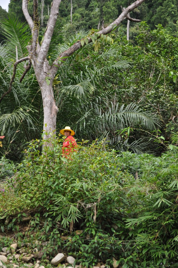 Людмила Сграбилова | Барнаул