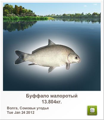 Вячеслав Вишнёв | Краснодар