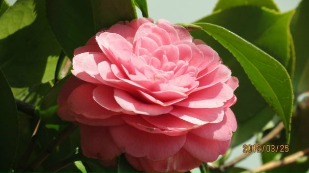 №34, Сергій Стасюк, 41 год, Ровно №34, Сергій Стасюк, 41 год, Ровно