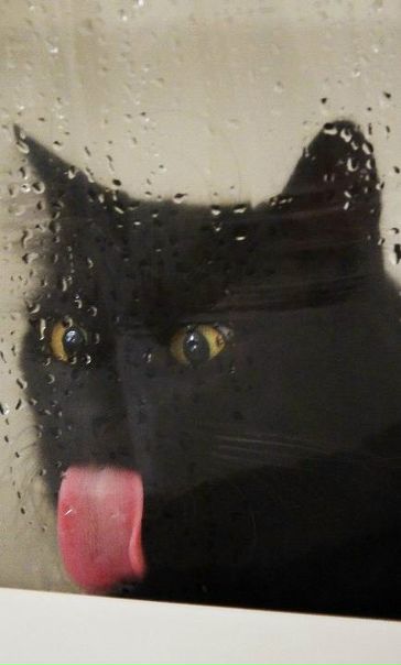 №14, Павел Насенков, Ейск, Россия №14, Павел Насенков, Ейск, Россия