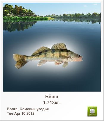 Игорь Симоненко | Корюковка