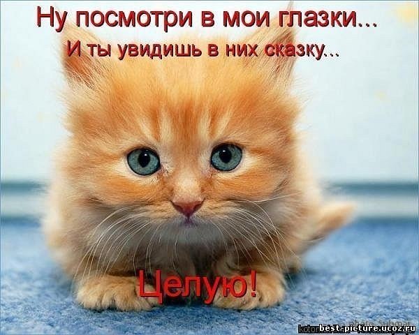 Лена Котмакова | Нижний Новгород