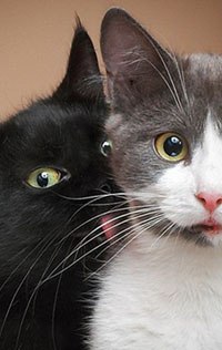 Екатерина Малышева | Санкт-Петербург