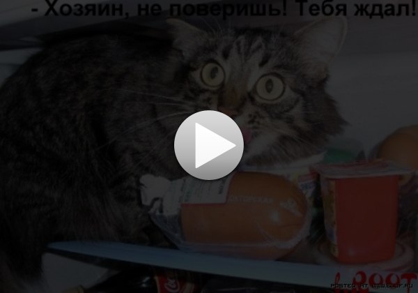 Нана Романова | Донецк