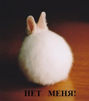 Елена Перелетова LESNIK | Москва