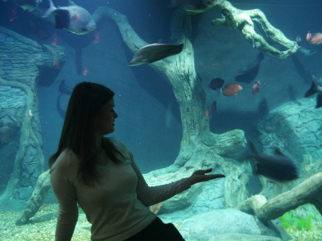 Марина Колесникова | Москва