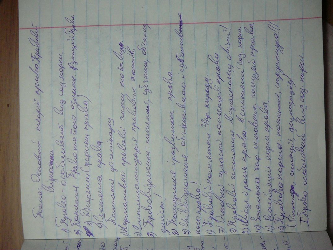 Никита Иванченко | Panica HS | | Киев