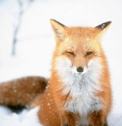 Romka Zephyr | Москва