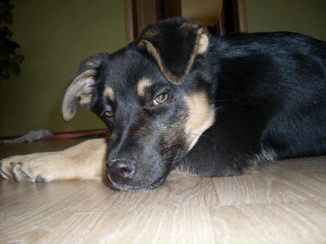 Ольга Яхина jouir | 