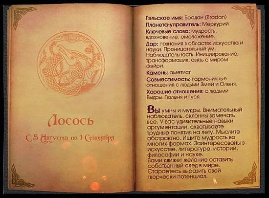Sefs Седых | 