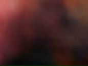 Дарья Беркутова | 