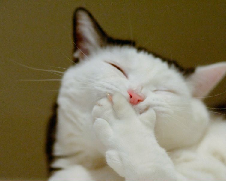 №20, Charlotte Grey, 34 года, Одесса №20, Charlotte Grey, 34 года, Одесса