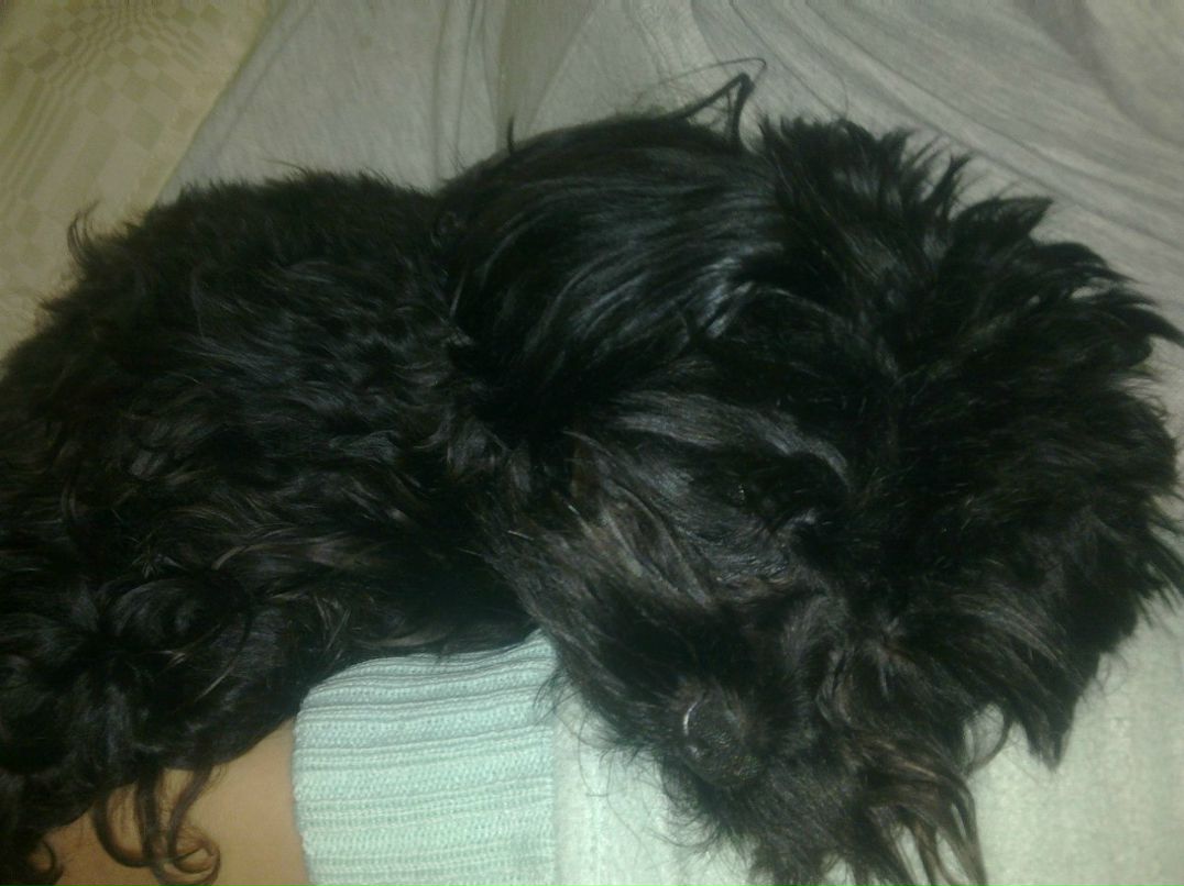 Лариса Дроздова | Москва