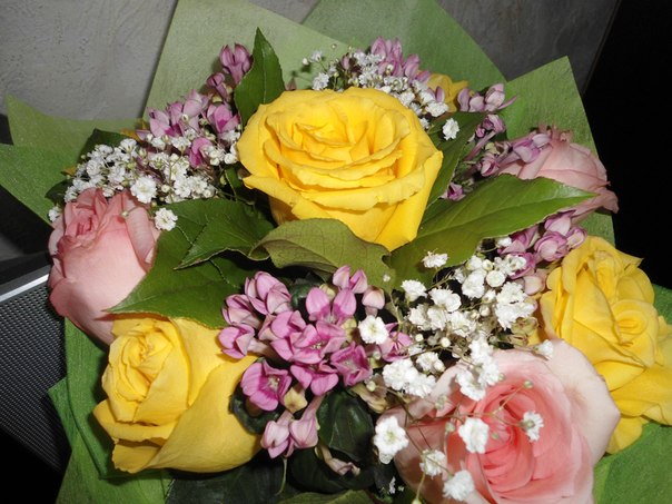 №5, Оксана Шевырева, 38 лет, Нижневартовск №5, Оксана Шевырева, 38 лет, Нижневартовск