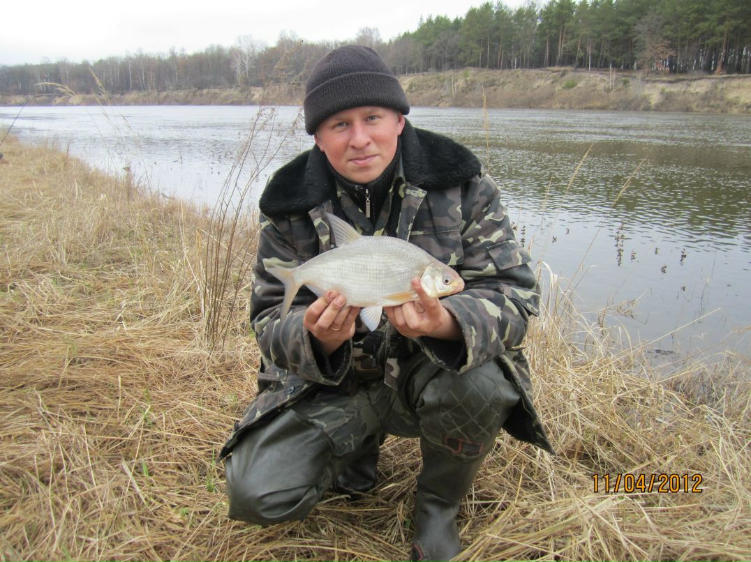 Вадим Чаус | Сосница