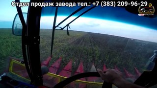 77 78 д  2016 Бешенный темп уборки подсолнечника, погода даёт работать, мы и работаем
