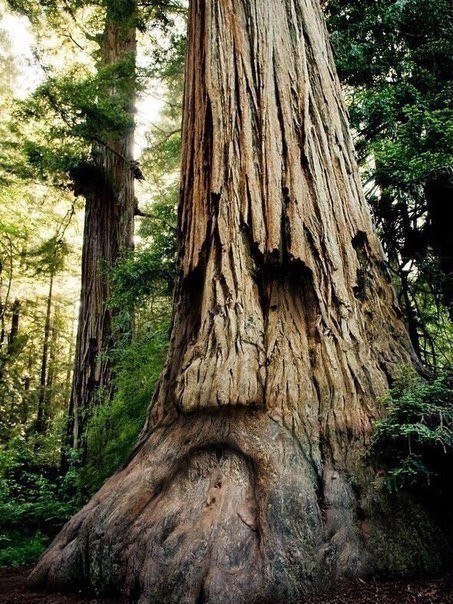 Руслан Янахметов, Россия, Уфа