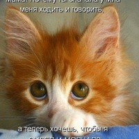 Андрей Прохоров