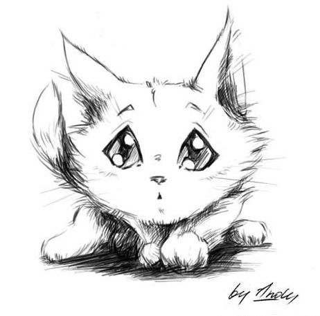 №8, Мария Шостак, 38 лет, Львов №8, Мария Шостак, 38 лет, Львов