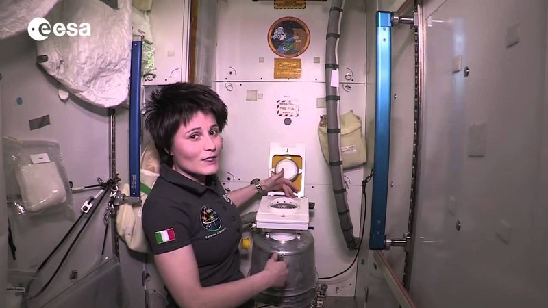 In Space Everyone Can Hear You Poop,