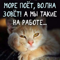 Алена Сидоренко