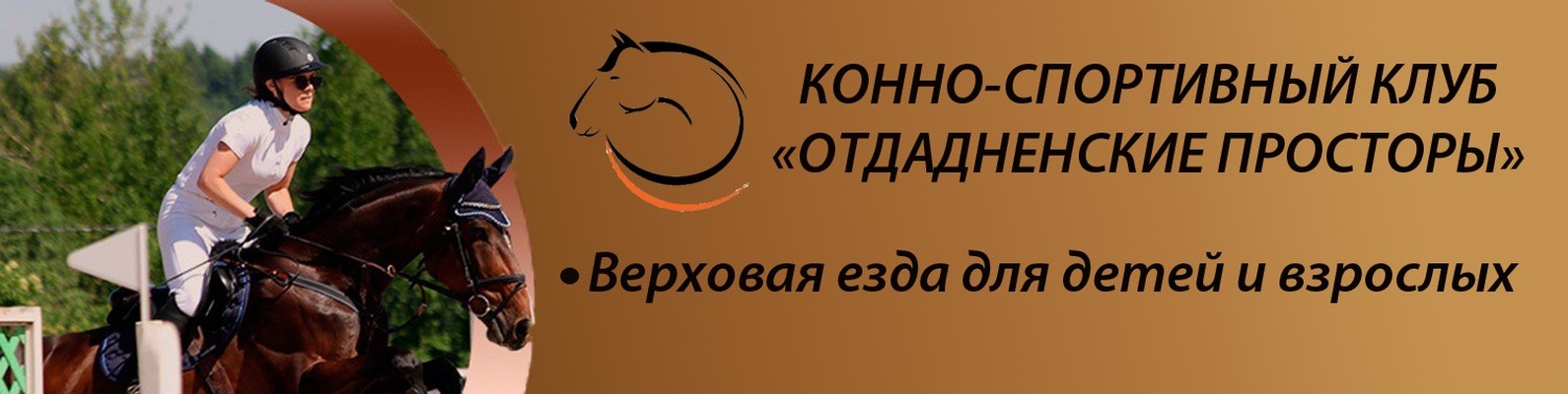 Технология спорта конный магазин интернет