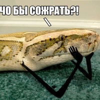 Анастасия Рябкова