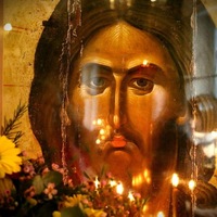 Нелли Петрова