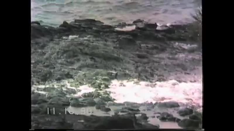 1990 Hawaii part