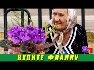 Возле магазина  сухонькая и аккуратная БАБУШКА пpoдaвaлa гopшoк c oдинoкoй фиaлкoй